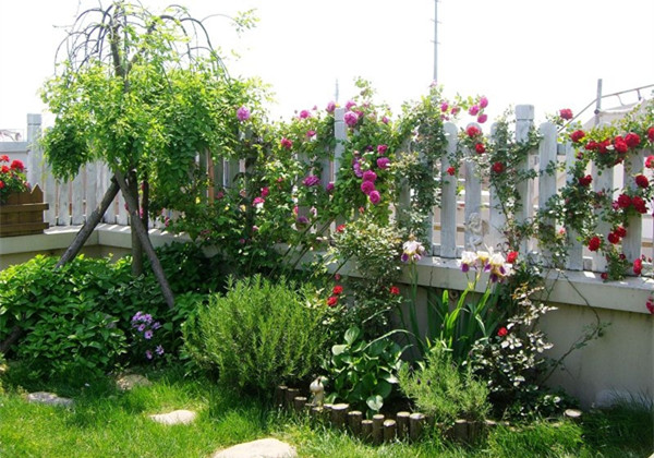 屋頂花園設計