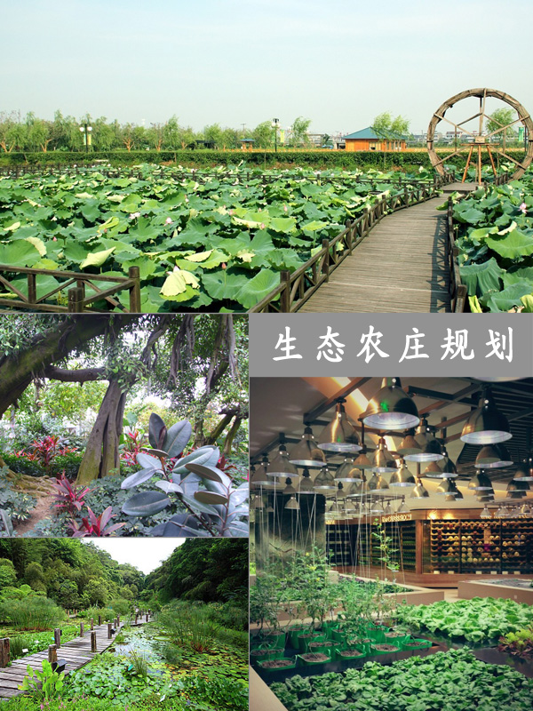 生態農莊規劃
